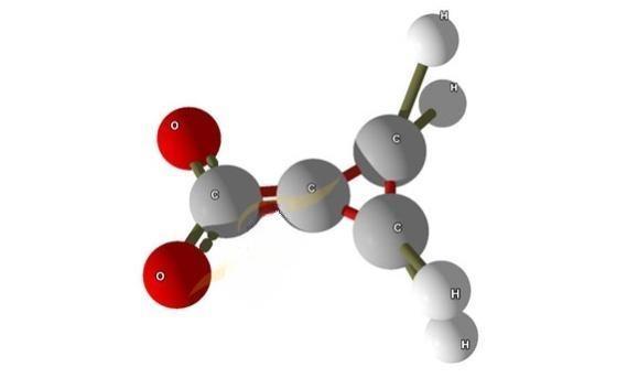 Pharmaceutical Intermediates