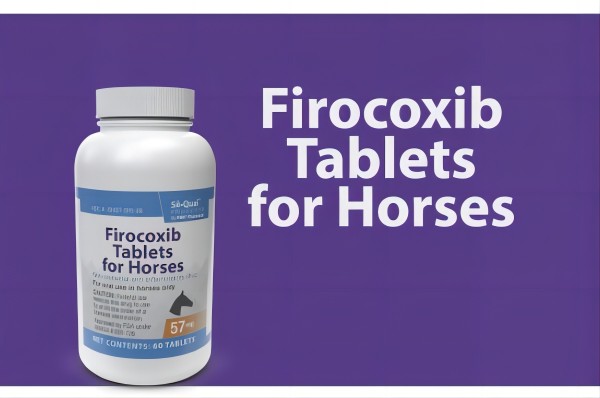 firocoxib tablets for horses