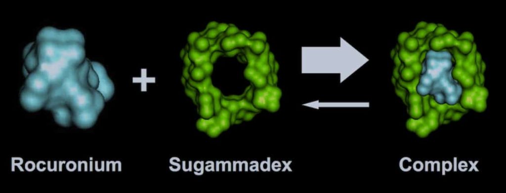 Sugammadex