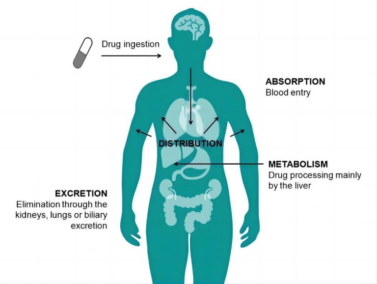 bisoprolol 2.5mg mechanism of action