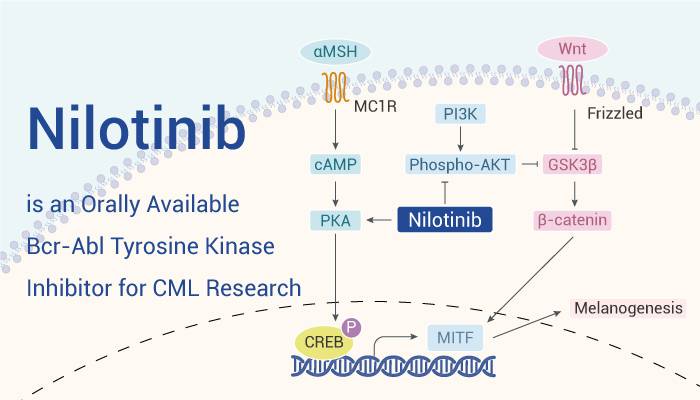 Nilotinib for CML