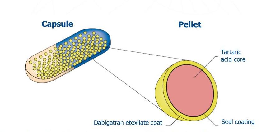 dabigatran etexilate Capsules fomulation